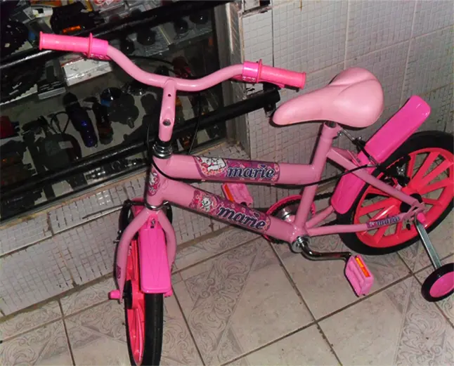 STYLLUS BIKE - foto 2