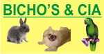 Bicho's & Cia