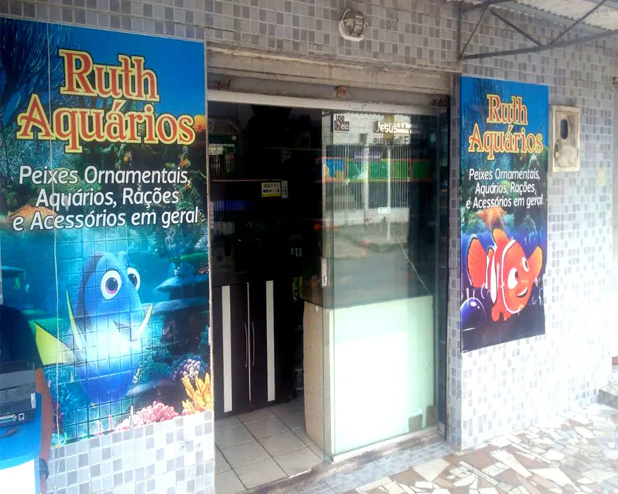 RUTH AQUÁRIOS - foto 2