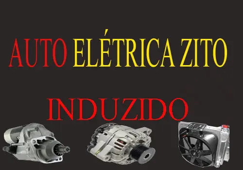 AUTO ELETRICA ZITO INDUZIDO - foto 1