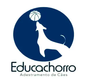 Adestrador de Cães e Veterinário Dr. Alberto Campos