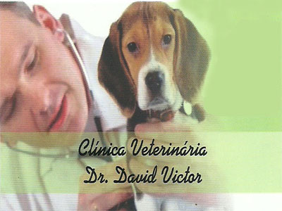 CLINICA VETERINÁRIA DR. DAVID VICTOR GOMES