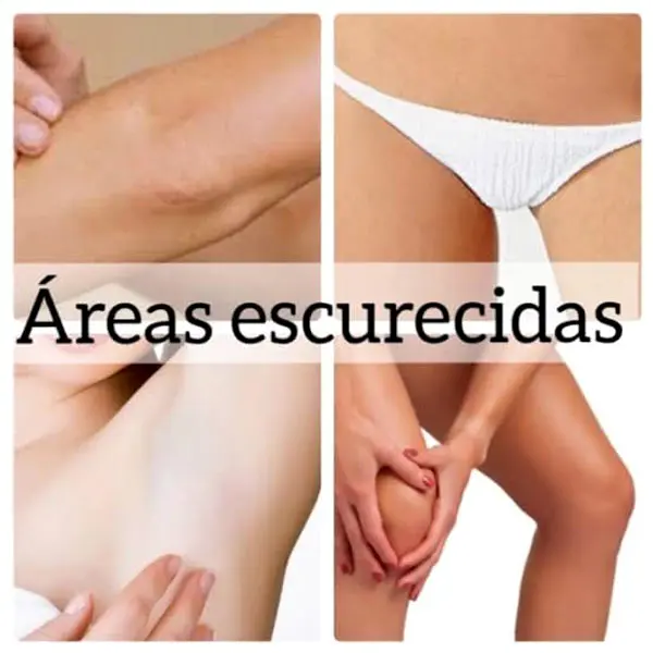 ESPAÇO MÔNICA LIRA - foto 5