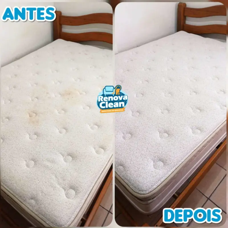 Renova Clean - foto 3